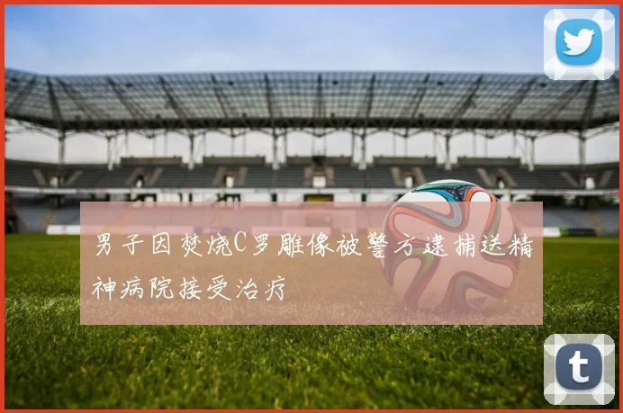 男子因焚烧C罗雕像被警方逮捕送精神病院接受治疗