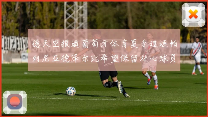 德天空报道葡萄牙体育夏季追逐帕利尼亚德泽尔比希望保留核心球员
